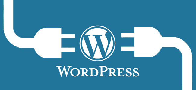 All you need to know if you are a Wordpress beginner